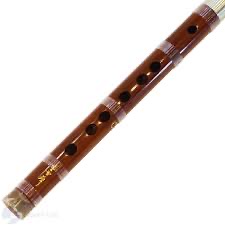 Instrument 7
